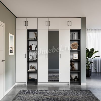 Шкаф 2д Чикаго  (Антрацит/Белый)