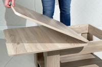 Дуб мария Элемент 2