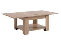 Дуб мария разложеный