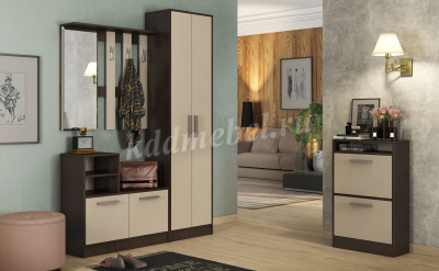 Шкаф для одежды Энтер (Венге/Дуб молочный)